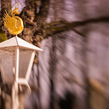 Hotel Schwan - Gaestehaus Ilse Oestrich-Winkel