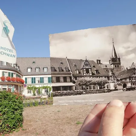 Schwan - Gaestehaus Ilse Oestrich-Winkel