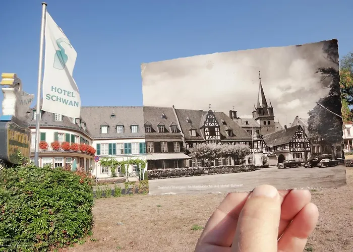 Schwan - Gaestehaus Ilse Oestrich-Winkel